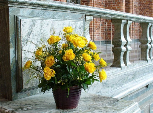 Blumen mit negativer Symbolik gelbe Rosen im Topf in manchen Kulturen Zeichen der Versöhnung