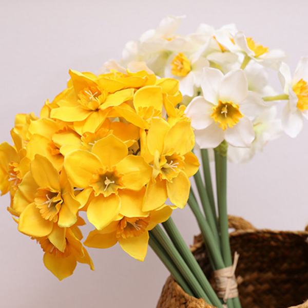 Blumen mit negativer Symbolik gelbe und weiße Narzissen fröhliche Optik