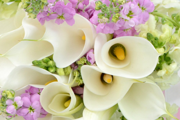 Blumen mit negativer Symbolik weiße Callas im Bouquet wunderbarer Look festlich erhaben