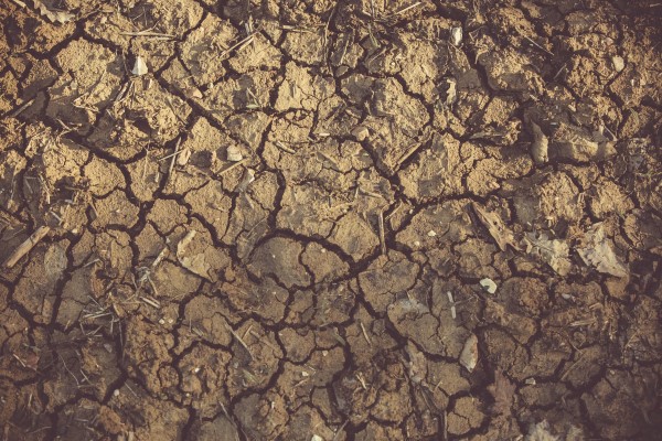 Bodenverbesserung – natuerliche Mittel und Methoden erde mit viel lehm und ton