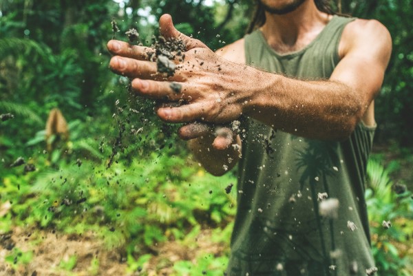 Bodenverbesserung – natuerliche Mittel und Methoden erde pflegen garten tipps