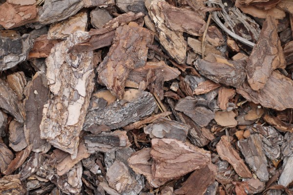 Bodenverbesserung – natuerliche Mittel und Methoden garten mulchen mit holzrinde