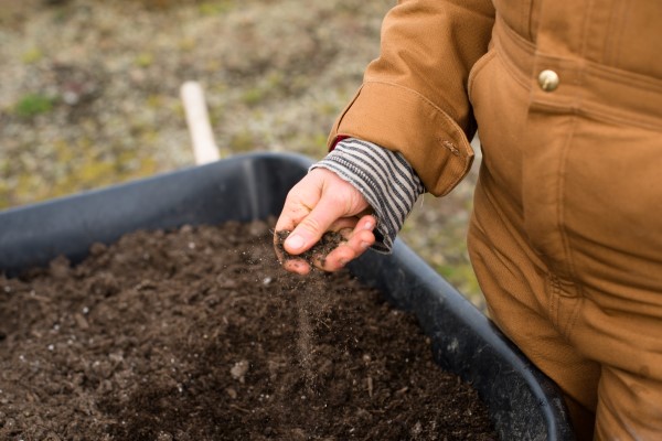 Bodenverbesserung – natuerliche Mittel und Methoden schoene erde im hochbeet