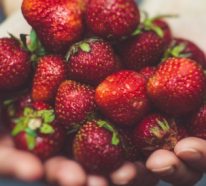 Erdbeer Biskuitrolle- schönste Ideen und Inspiration für die Erdbeerzeit