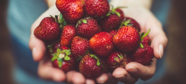 Erdbeer Biskuitrolle sommerrezepte erdbeerkuchen rezept mit frische erdbeeren