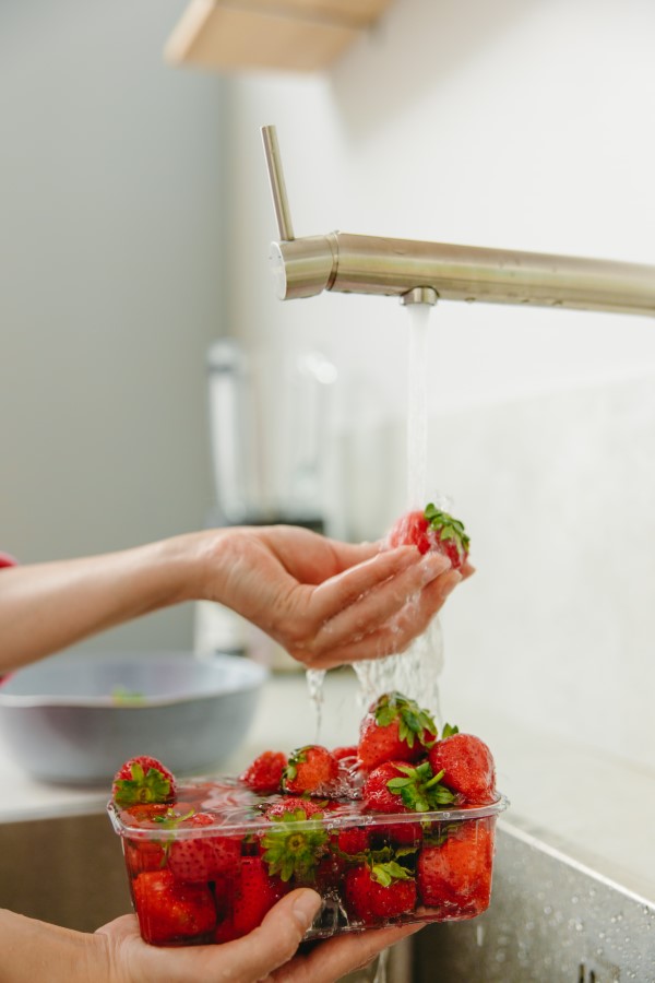 Erdbeeren lagern, einfrieren, trocknen – Tipps fuer langanhaltende Frische erdbeeren nur vor dem essen waschen