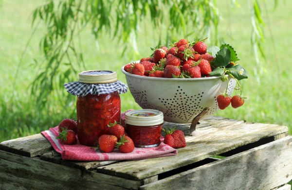Erdbeeren lagern, einfrieren, trocknen – Tipps fuer langanhaltende Frische erdbeeren picknick ideen