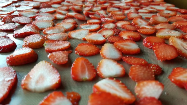 Erdbeeren lagern, einfrieren, trocknen – Tipps fuer langanhaltende Frische erdbeeren schneiden und trocknen