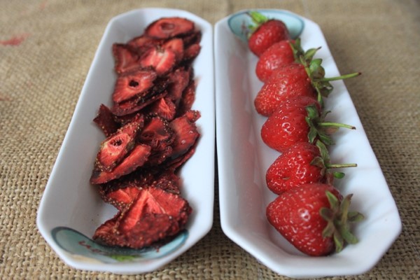 Erdbeeren lagern, einfrieren, trocknen – Tipps fuer langanhaltende Frische erdbeeren trocknen frisch