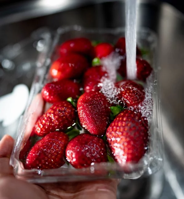 Erdbeeren lagern, einfrieren, trocknen – Tipps fuer langanhaltende Frische erdbeeren waschen essen