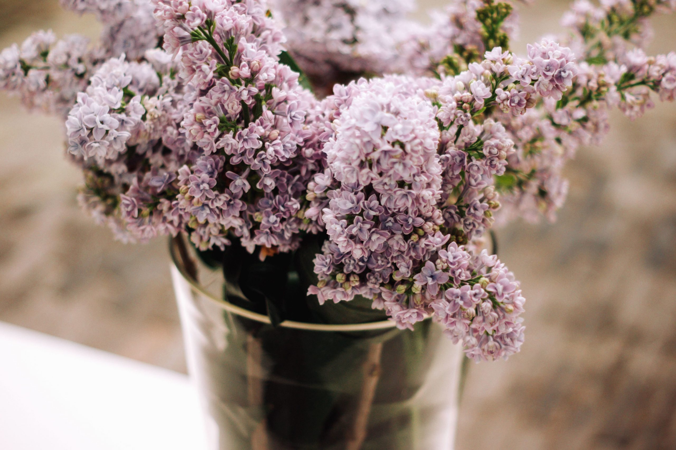 Flieder in der Vase hellrosafarbene Blüten als Blickfang herrlicher Duft zu Hause Ideen