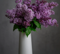 Wie kann Flieder in der Vase lange haltbar bleiben?