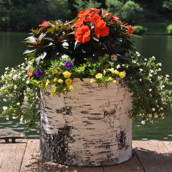 Gartendeko mit Birkenholz – traumhafte Ideen mit symbolischer Bedeutung birke blumentopf bunt sommer