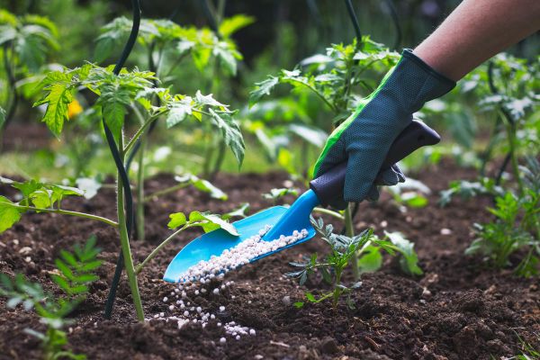 Gartengestaltung Verwendung vomn organischen Duengemitteln