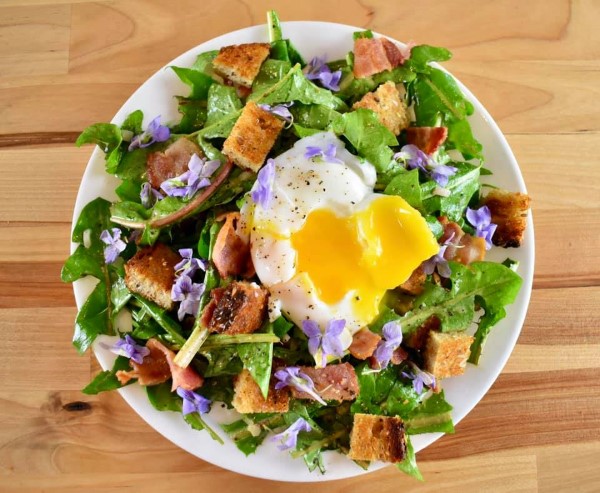 Loewenzahn essen – 4 einfache Rezeptideen mit der sonnengelben Heilkraut bunter salat frisch sommerlich