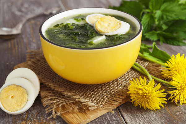 Loewenzahn essen – 4 einfache Rezeptideen mit der sonnengelben Heilkraut gesunde suppe mit zutaten aus dem garten