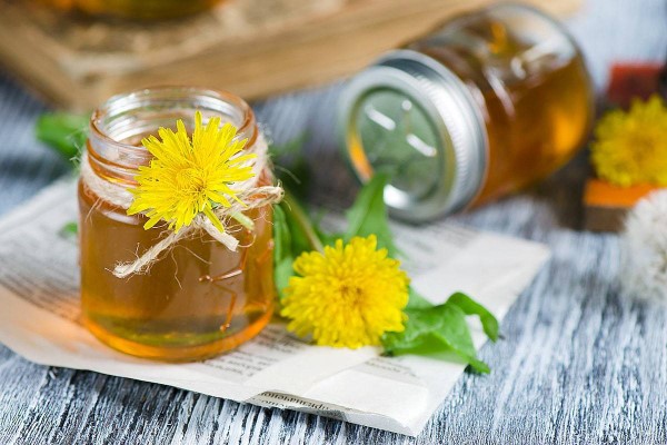 Loewenzahn essen – 4 einfache Rezeptideen mit der sonnengelben Heilkraut honig aus gartenblumen