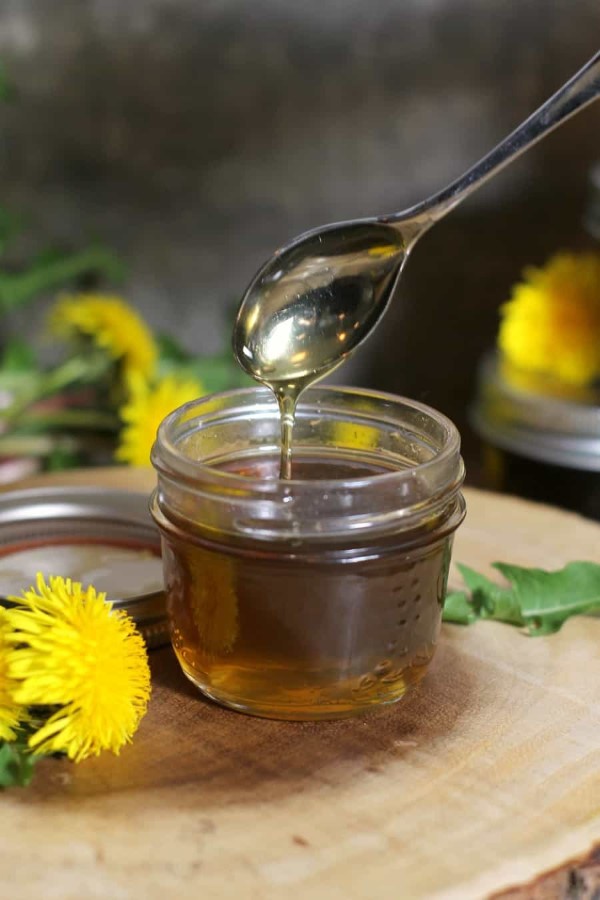 Loewenzahn essen – 4 einfache Rezeptideen mit der sonnengelben Heilkraut honig mit blumen gelb lecker