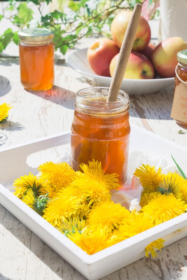 Loewenzahn essen – 4 einfache Rezeptideen mit der sonnengelben Heilkraut honig selber machen zu hause blumen