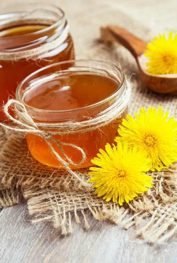 Loewenzahn essen – 4 einfache Rezeptideen mit der sonnengelben Heilkraut honig sirup mit blumen