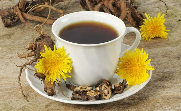 Loewenzahn essen – 4 einfache Rezeptideen mit der sonnengelben Heilkraut tee kaffee ohne koffein blumen