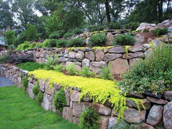 Natursteinmauer bauen Garten in verschiedenen Stufen ordnen