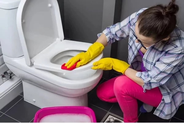 Urinstein mit natürlichen Reinigungsmitteln entfernen junge Frau Toilette saubermachen 