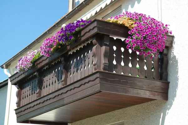 Balkonkasten bepflanzen mit Geranien unterschiedlicher Farbe