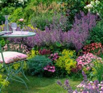 Bodendecker, die viel Sonne vertragen- Gartengestaltung mit Urlaubsflair