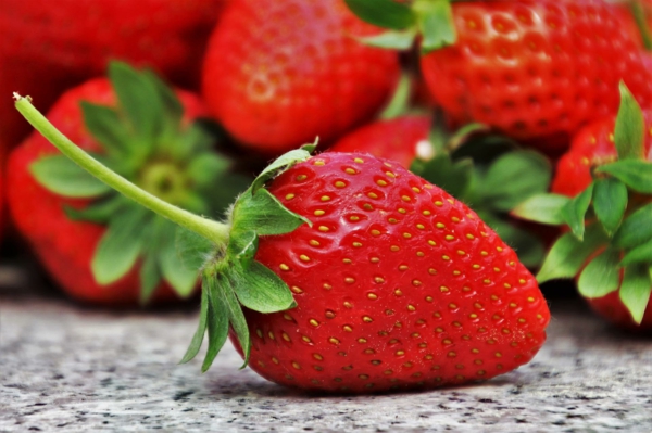 erdbeerkuchen ohne backen erdbeeren essen sommer