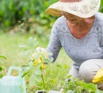 Gartenarbeit im Mai-  Tipps und Checkliste für eine bessere Übersicht