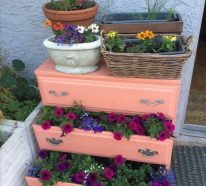 Gartendeko mit alten Schubladen für einen attraktiven Erholungsort