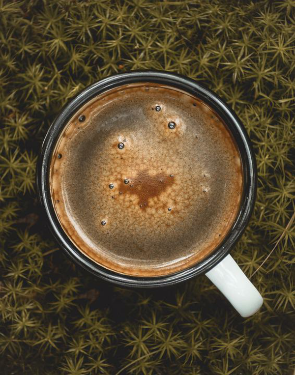 kaffeesatz gegen moos im rasen ausmittel