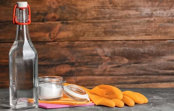 natürliche Reinigungsmittel Reinigungstipps Essig Natron Handschuhe saubermachen 