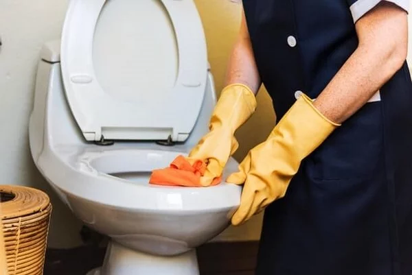 natürliche Reinigungsmittel gegen Urinstein WC reinigen zum Glänzen bringen umweltschonend