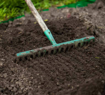 Rasen aussäen und richtig pflegen – mit diesen Tipps klappt es am besten!