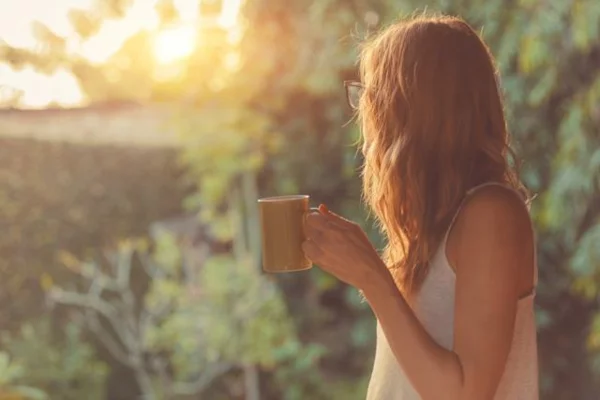 welche pflanzen moegen kaffeesatz gemuesebeete anlegen kaffee gesund