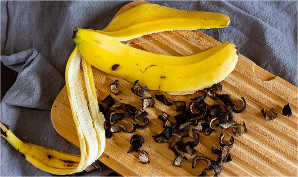 Bananenschalen als Dünger klein geschnitten frisch oder getrocknet einsetzen natürliches Düngemittel