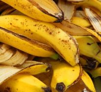 Bananenschalen als Dünger – wie nutzt man den Schalenabfall für Blumen und Gartenpflanzen