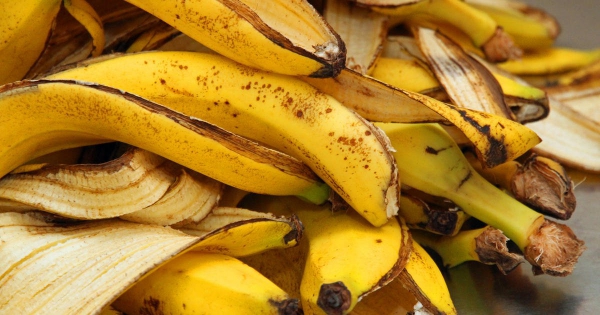 Bananenschalen als Dünger nicht in den Müll werfen verwenden natürliches Düngemittel