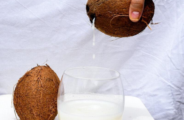 Durstlöscher hydrierende Sommergetränke Kokosnusswasser leicht zu machen zu Hause