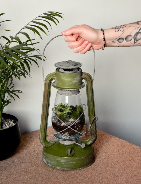 Flaschengarten selber machen – Leben im Glas alte gaslampe upcyclen ideen