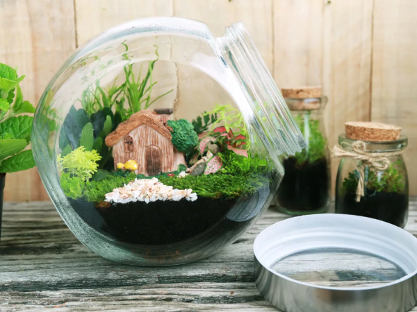 Flaschengarten selber machen – Leben im Glas einmachglas vorratsglas mini diorama