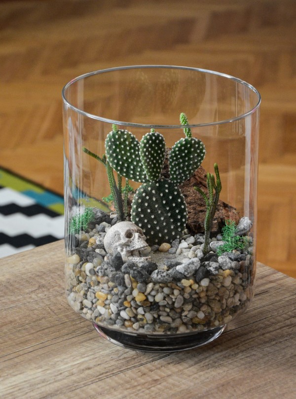Flaschengarten selber machen – Leben im Glas kaktus im glas muss offen sein