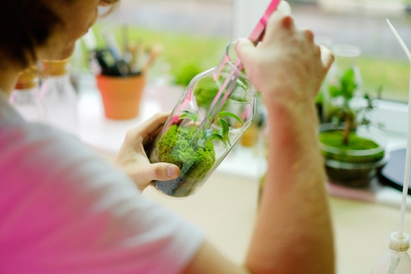 Flaschengarten selber machen – Leben im Glas mini terrarium zusammenstellen tipps