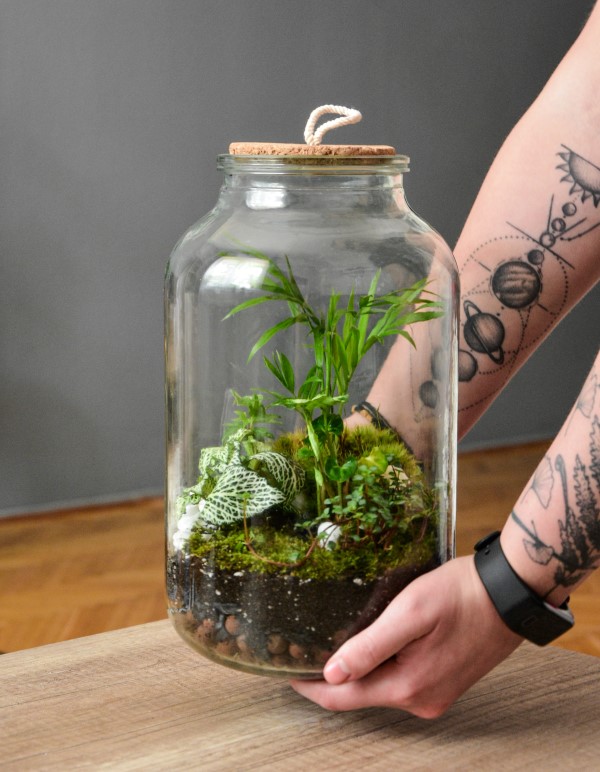Flaschengarten selber machen – Leben im Glas schoene deko ideen lebend