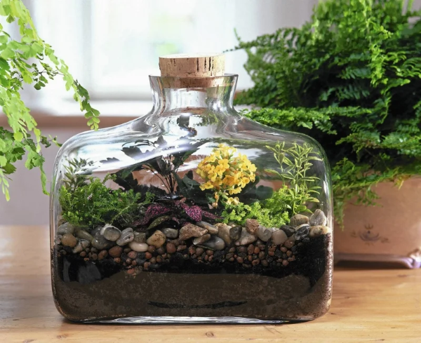 Flaschengarten selber machen – Leben im Glas weite glasflasche korkenflasche