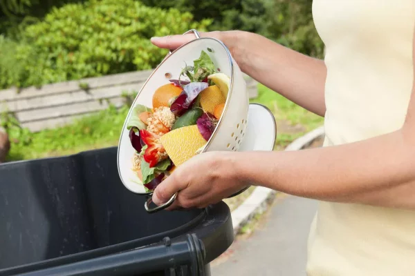 Garten gestalten mit wenig Geld – grossartige Ideen fuer kostenloses Gaertnern kuechen abfall obst und gemuese kompost