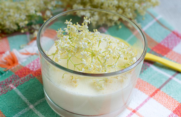Holunderblüten Rezepte Pinna Cotta cremiges Dessert mit weißen Blüten dekoriert