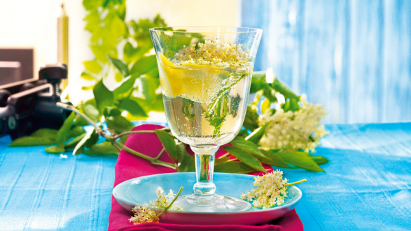Holunderblüten Rezepte ein prickelndes Getränk im Weinglas Bowle mit weißen Blüten dekoriert